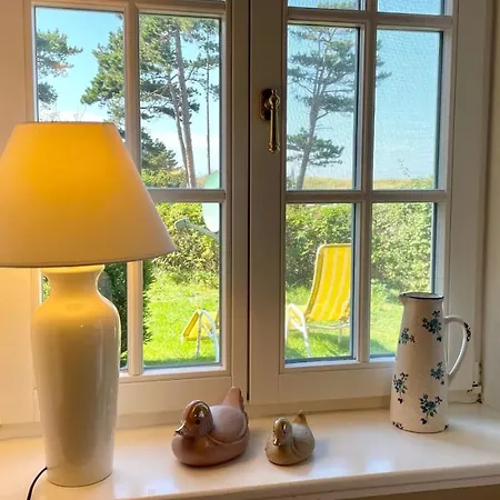 Haus Strandgut Fw 2 Διαμέρισμα Ahrenshoop